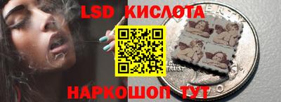 прущие грибы Иваново